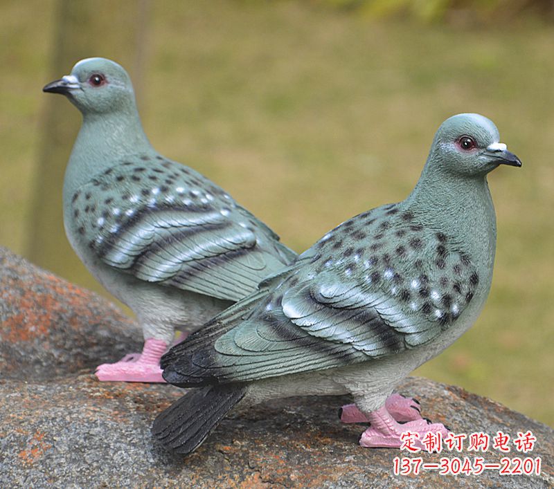 泰安校园雕塑和平鸽图片