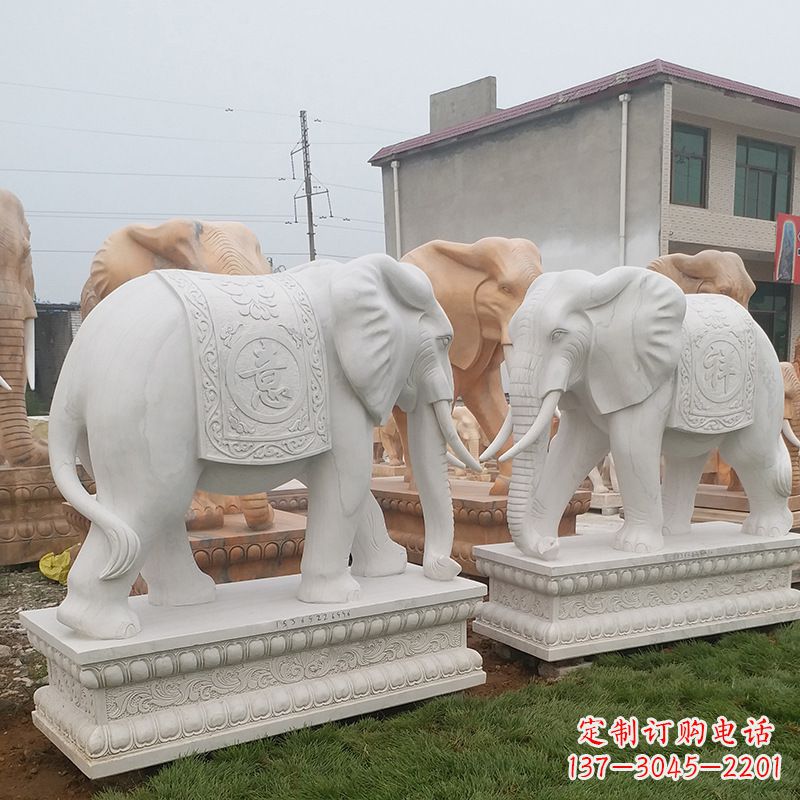 泰安学校石雕大象