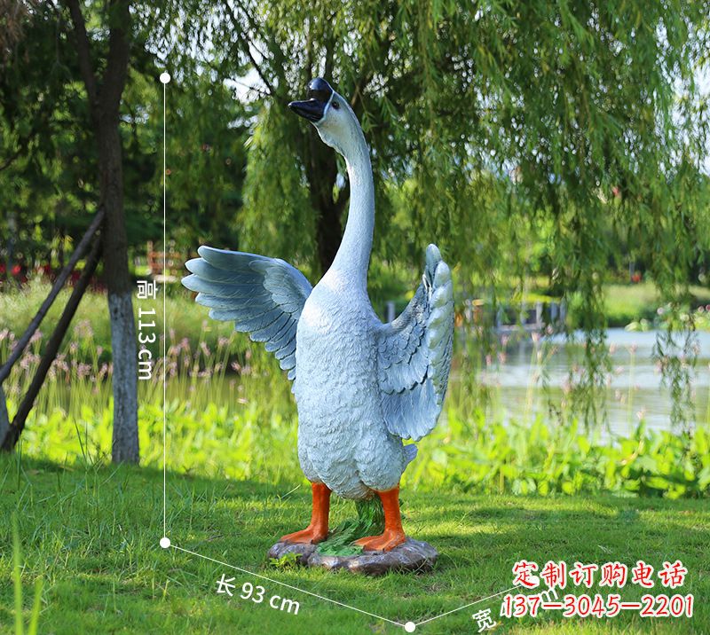 泰安站立的灰色展翅天鹅